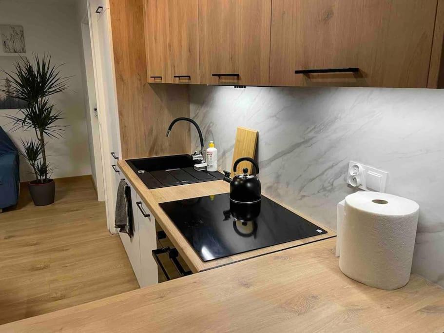 Lucky Seven Cosy 1-Bedroom Apartment, Free Parking Cracóvia Exterior foto